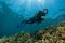 diver over a shallow coral reef with sun rays