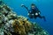 Diver photographing coral reef