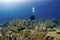 Diver and a School of Goatfish