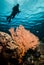 Diver and sea fan in Derawan, Kalimantan, Indonesia underwater photo