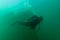 Diver swimming by the Bermuda shipwreck found in Murray Bay near Grand Island