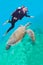 Diver swims with green turtle in sea water