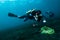 Diver take a photo video upon coral lembeh indonesia scuba diving