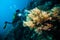 Diver take a video upon coral kapoposang indonesia scuba diving