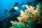 Diver take a video upon coral kapoposang indonesia scuba diving