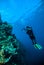 Diver take a video upon coral kapoposang indonesia scuba diving