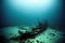 Diver underwater view of the wreckage of a wooden ship at the bottom of the sea.