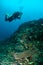 Diver and various coral reefs in Gili, Lombok, Nusa Tenggar Barat, Indonesia underwater photo