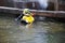 Diver with yellow helmet working in dirty water at the shore reinforcement in a canal