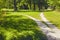 The divergence of paths in different directions in the park. Summer landscape