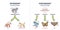 Divergent vs convergent evolution with ancestors development outline diagram