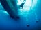 Divers approaching the boat under the water. Clear blue waters, Philippines.