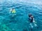 Divers in black diving waterproof suits with shiny metal aluminum canisters float, dive into the blue sea water on vacation, a sea