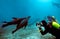 Divers and Galapagos Sea Lions