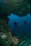 Divers, giant barrel sponge, wire corals in Ambon, Maluku, Indonesia underwater photo