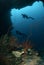 Divers, sponge, wire corals in Ambon, Maluku, Indonesia underwater