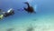 Divers Swimming Underwater Sea