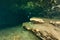 Divers underwater caves diving Ginnie Springs Florida USA