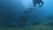 Divers underwater neer coral reef