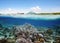 Divers views beautiful coral reef with many fish near Bunaken is