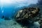 divers visiting an underwater wreck of a metal sailboat