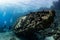 divers visiting an underwater wreck of a metal sailboat