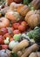 Diverse assortment of pumpkins