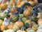 Diverse assortment of pumpkins at market place . Autumn harvest