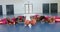 Diverse basketball players perform push-ups in a gym