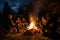 A diverse group of individuals gathered around a cozy campfire illuminating the dark night, group of seniors gathered around a