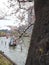 Diverse group of people enjoying a leisurely boat ride on a tranquil river