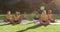 Diverse group of schoolchildren sitting on mats meditating during yoga lesson outdoors