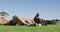 Diverse group of three fit men exercising outdoors, doing sit ups