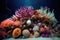 diverse sea anemones clustered together on coral reef