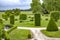 Diversely trimmed thuja on a green meadow