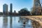 Diversey Harbor in Chicago with Ducks and Geese looking towards Lincoln Park