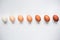 Diversity of chicken eggs on a white background. Colorful chicken eggs.