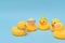 Diversity concept, Difference rubber ducks are meeting