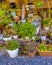 Diversity of Plants at Home Facade, Tokyo, Japan