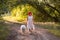 Diversity woman with pink hair walks in forest with Samoyed dog, path into sunset. Childfree girl