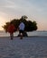 Divi Dive Trees on the shoreline of Eagle Beach in Aruba