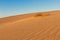 Divided photography on two part by sand and sky. Lands and panorama background. Sustainable ecosystem. Yellow dunes at