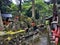 Divine Gateway: Fushimi Inari Taisha Temple Gate and statues in forest, Kyoto, Japan