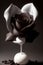 Divine Indulgence: A Heavenly Rose for Your Special Day