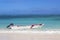 Diving boat at the Bavaro Beach in Punta Cana, Dominican Republic