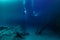 Diving in Cenote Angelita, Mexico