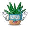 Diving character small zebra cactus plant on pot