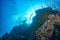 Diving in colorful reef underwater in mexico cortez sea cabo pulmo san lucas