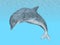 Diving Dolphin