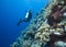 Diving the Great barrier